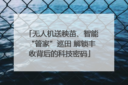 无人机送秧苗、智能“管家”巡田 解锁丰收背后的科技密码