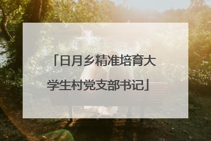 日月乡精准培育大学生村党支部书记