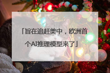 旨在追赶美中，欧洲首个AI推理模型来了
