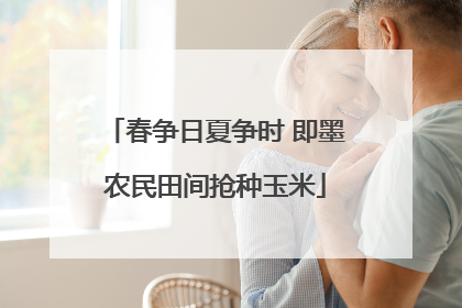 春争日夏争时 即墨农民田间抢种玉米