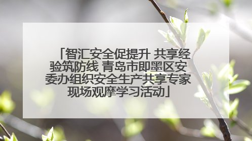 智汇安全促提升 共享经验筑防线 青岛市即墨区安委办组织安全生产共享专家现场观摩学习活动