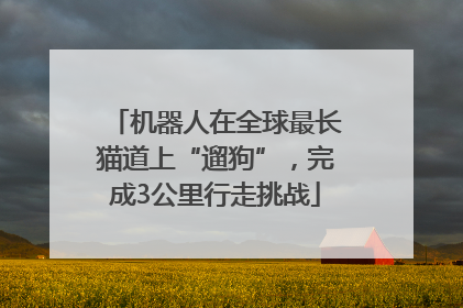 机器人在全球最长猫道上“遛狗”，完成3公里行走挑战