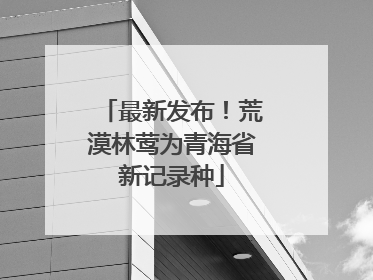 最新发布！荒漠林莺为青海省新记录种