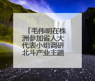 毛伟明在株洲参加省人大代表小组调研北斗产业主题活动
