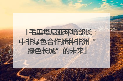 毛里塔尼亚环境部长：中非绿色合作播种非洲“绿色长城”的未来