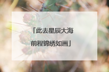 此去星辰大海 前程锦绣如画