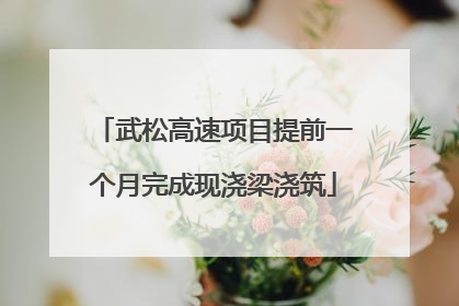 武松高速项目提前一个月完成现浇梁浇筑