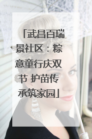武昌百瑞景社区：粽意童行庆双节 护苗传承筑家园