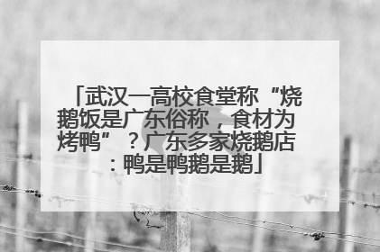 武汉一高校食堂称“烧鹅饭是广东俗称，食材为烤鸭”？广东多家烧鹅店：鸭是鸭鹅是鹅
