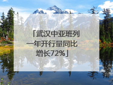 武汉中亚班列一年开行量同比增长72%