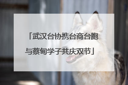 武汉台协携台商台胞与蔡甸学子共庆双节