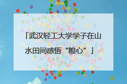 武汉轻工大学学子在山水田间感悟“粮心”