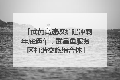 武黄高速改扩建冲刺年底通车，武昌鱼服务区打造交旅综合体