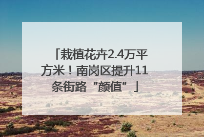 栽植花卉2.4万平方米！南岗区提升11条街路“颜值”