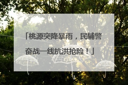 桃源突降暴雨，民辅警奋战一线抗洪抢险！