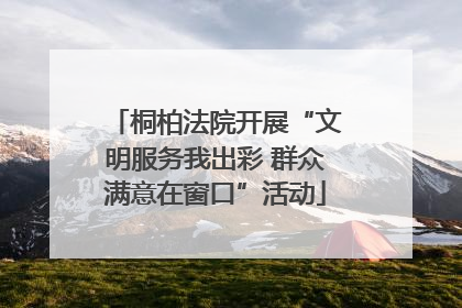 桐柏法院开展“文明服务我出彩 群众满意在窗口”活动