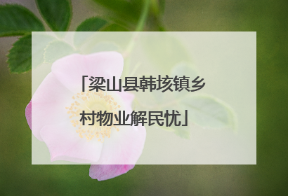 梁山县韩垓镇乡村物业解民忧