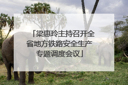 梁惠玲主持召开全省地方铁路安全生产专题调度会议