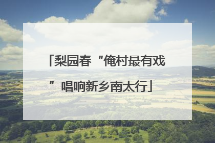 梨园春“俺村最有戏”唱响新乡南太行