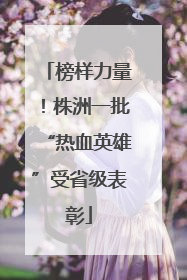榜样力量！株洲一批“热血英雄”受省级表彰