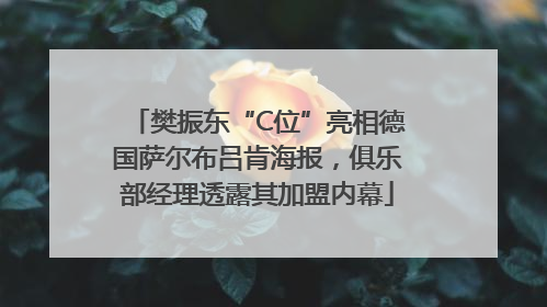 樊振东“C位”亮相德国萨尔布吕肯海报,俱乐部经理透露其加盟内幕