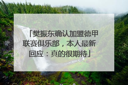 樊振东确认加盟德甲联赛俱乐部，本人最新回应：真的很期待