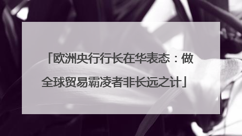 欧洲央行行长在华表态：做全球贸易霸凌者非长远之计