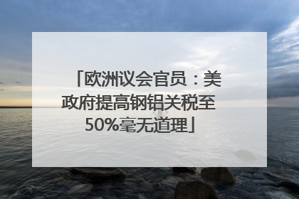 欧洲议会官员：美政府提高钢铝关税至50%毫无道理