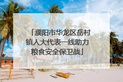 濮阳市华龙区岳村镇人大代表一线助力粮食安全保卫战