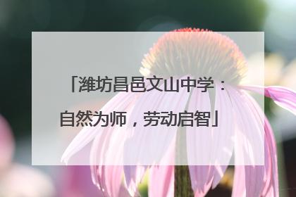 潍坊昌邑文山中学：自然为师，劳动启智