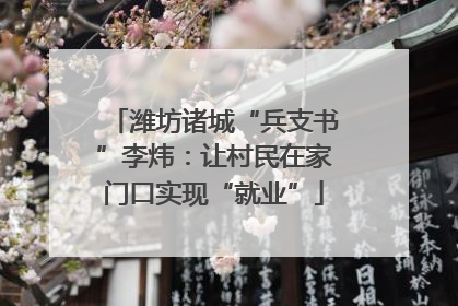 潍坊诸城“兵支书”李炜：让村民在家门口实现“就业”