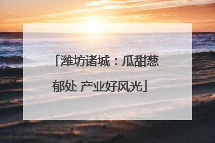 潍坊诸城：瓜甜葱郁处 产业好风光