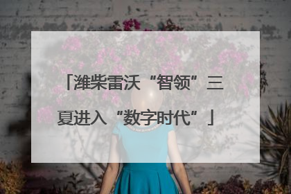 潍柴雷沃“智领”三夏进入“数字时代”