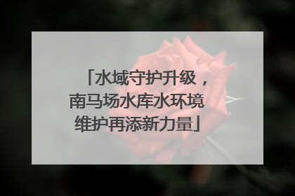 水域守护升级，南马场水库水环境维护再添新力量