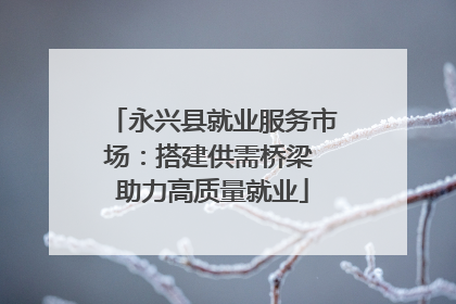 永兴县就业服务市场：搭建供需桥梁 助力高质量就业