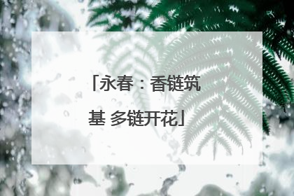永春：香链筑基 多链开花