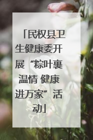 民权县卫生健康委开展“粽叶裹温情 健康进万家”活动