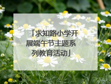 求知路小学开展端午节主题系列教育活动