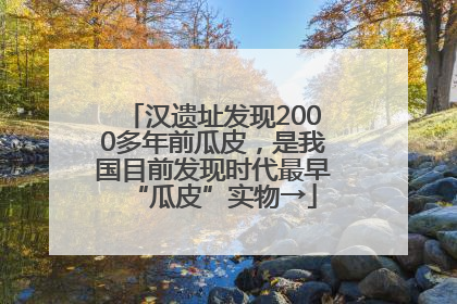 汉遗址发现2000多年前瓜皮，是我国目前发现时代最早“瓜皮”实物→