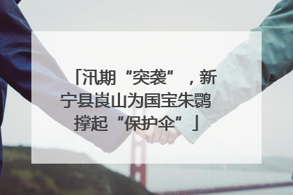 汛期“突袭”，新宁县崀山为国宝朱鹮撑起“保护伞”