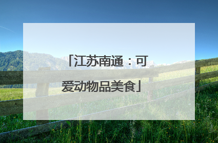 江苏南通：可爱动物品美食
