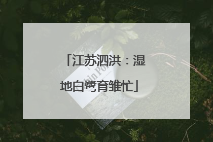 江苏泗洪：湿地白鹭育雏忙
