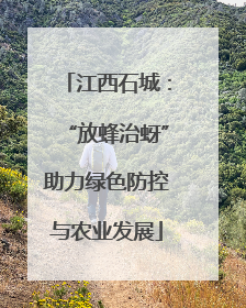 江西石城：“放蜂治蚜”助力绿色防控与农业发展
