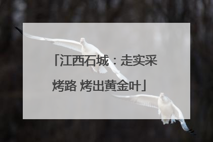 江西石城：走实采烤路 烤出黄金叶