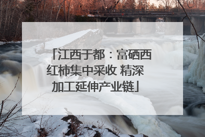 江西于都：富硒西红柿集中采收 精深加工延伸产业链