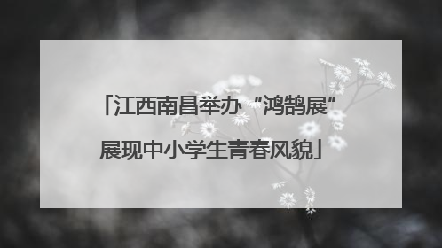 江西南昌举办“鸿鹄展” 展现中小学生青春风貌