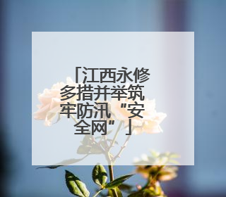 江西永修多措并举筑牢防汛“安全网”