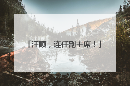 汪顺，连任副主席！