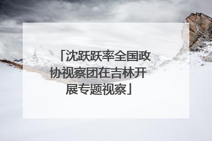 沈跃跃率全国政协视察团在吉林开展专题视察