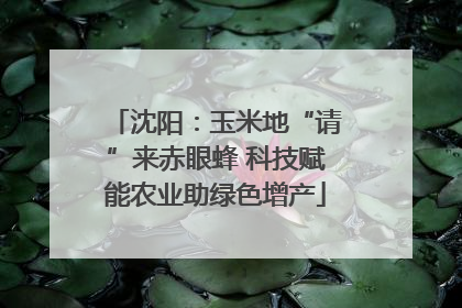 沈阳：玉米地“请”来赤眼蜂 科技赋能农业助绿色增产